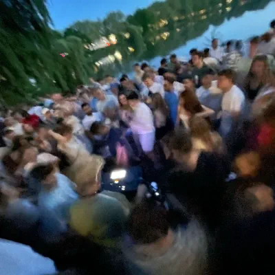 Tanzende Menge vor Bäumen in der Abenddämmerung